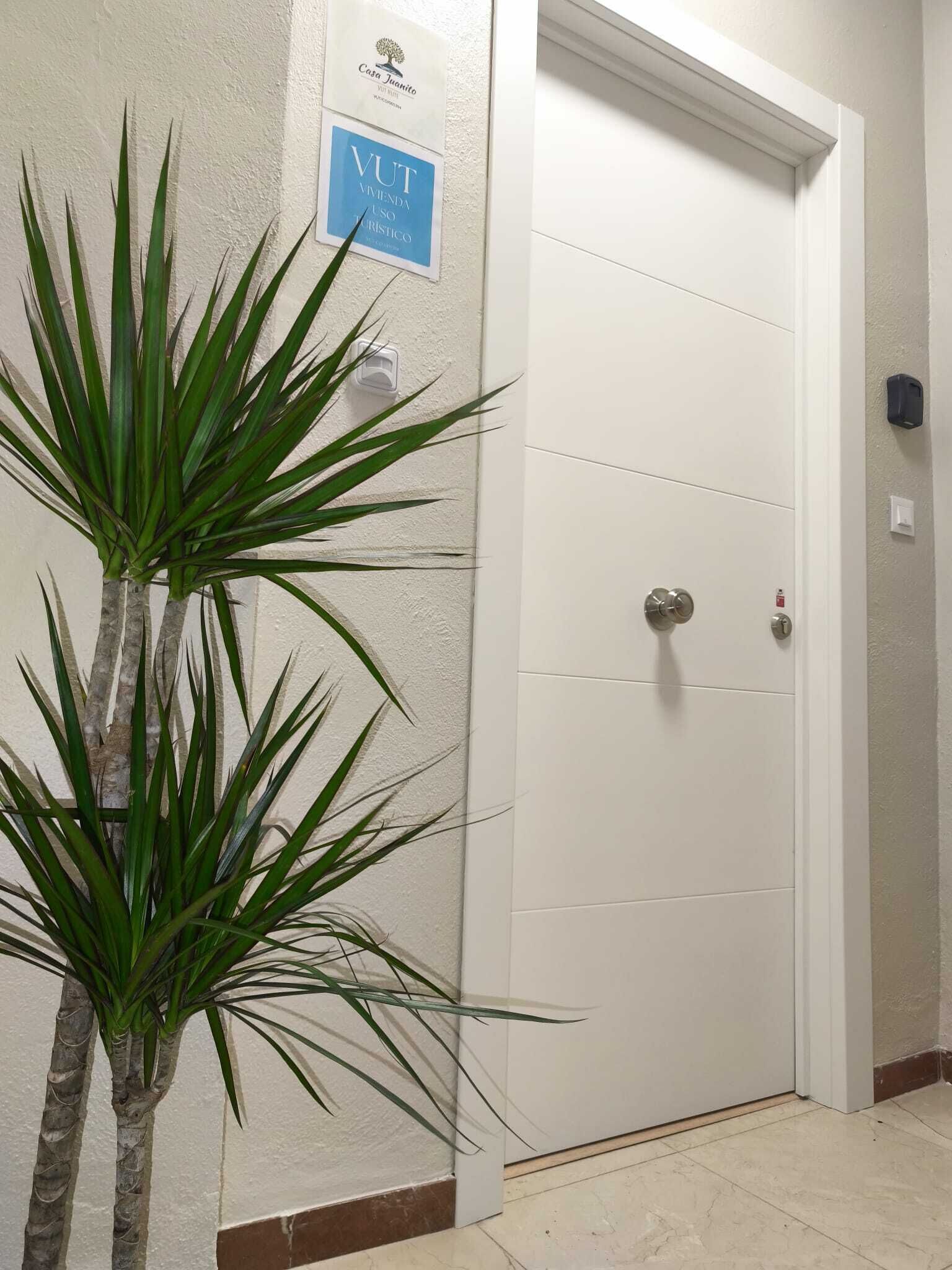 A white door with a sign above it, a plant beside the door, and a tiled floor.