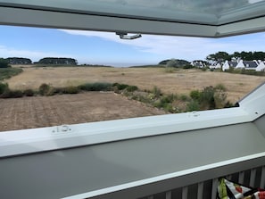 Vista desde una ventana con cielo despejado, un campo y algunos árboles.