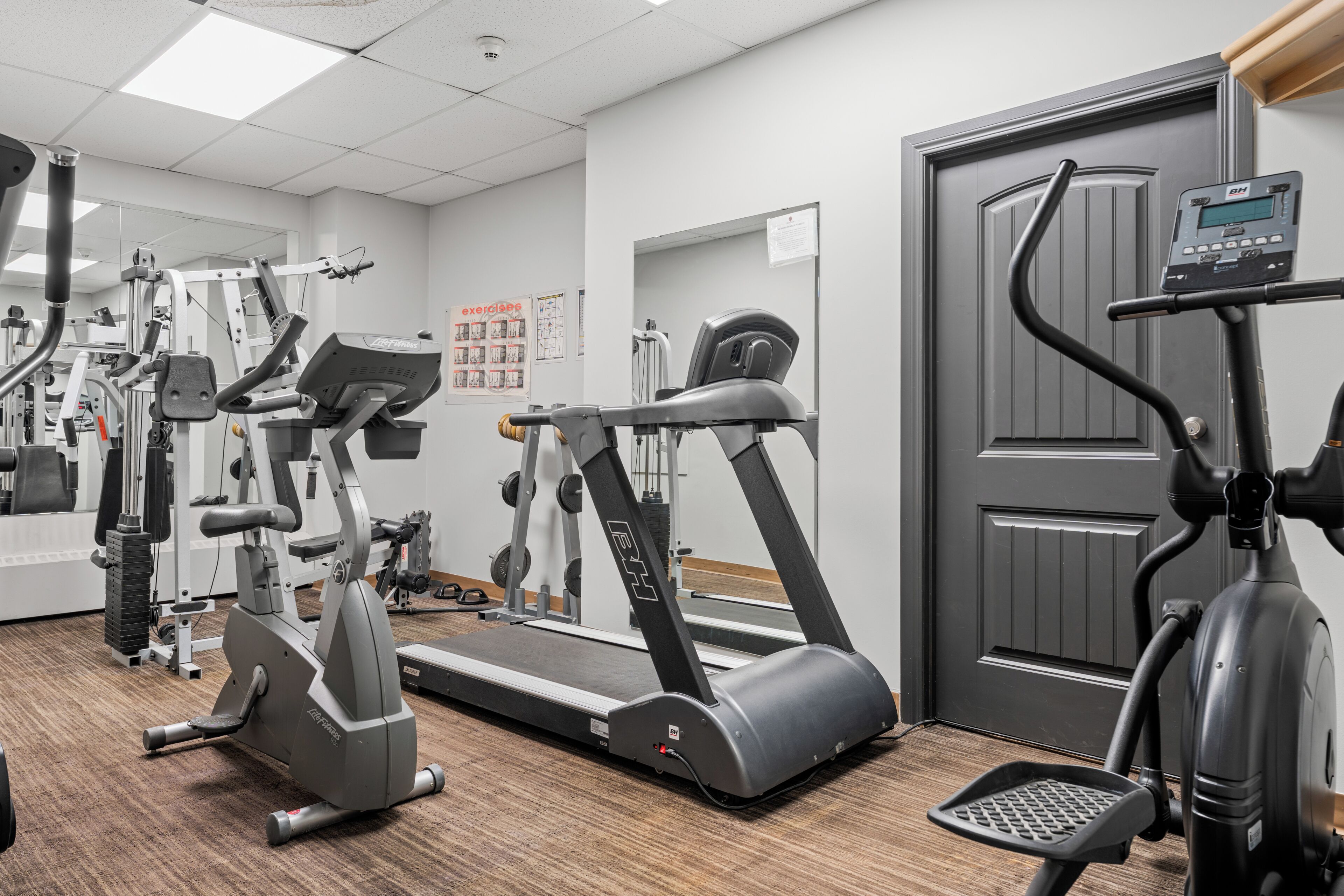 A gym with treadmills, ellipticals, and weight machines.