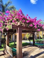 Una pérgola de madera con flores rosadas, un banco y un camino pavimentado.