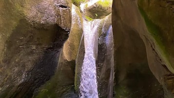 منوع