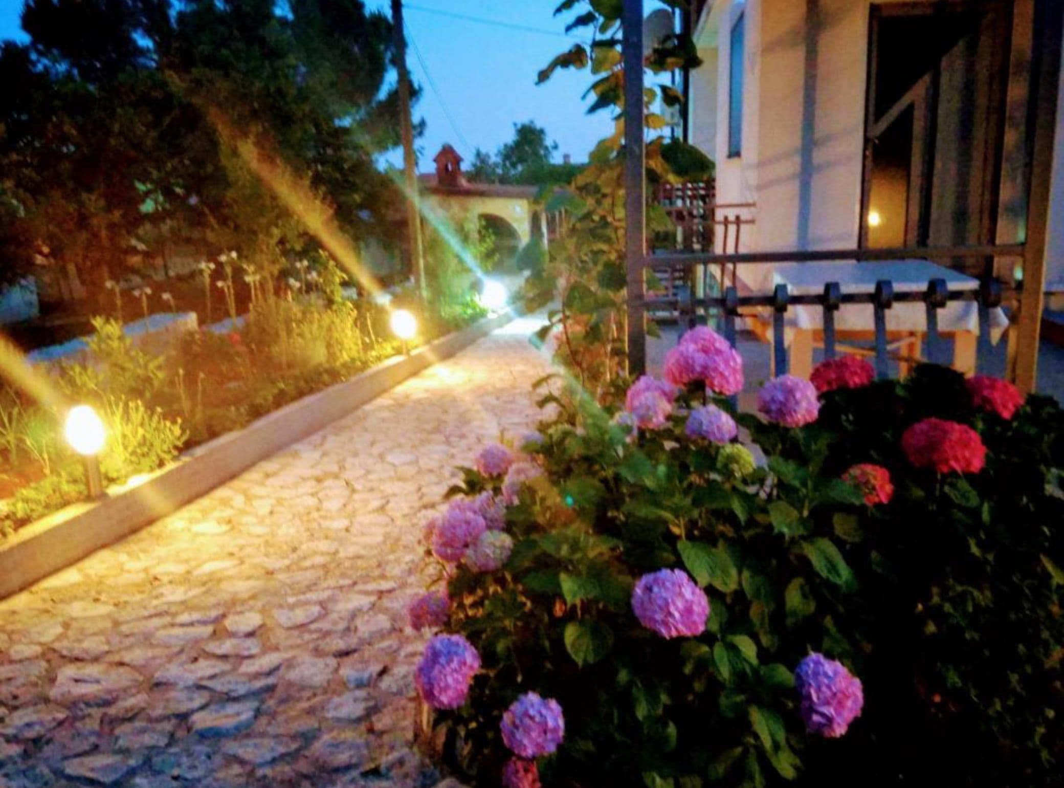 Appartement (One Bedroom Apartment with Terrace) | Jardin