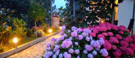 A cobblestone pathway leading through a garden with hydrangea bushes.
