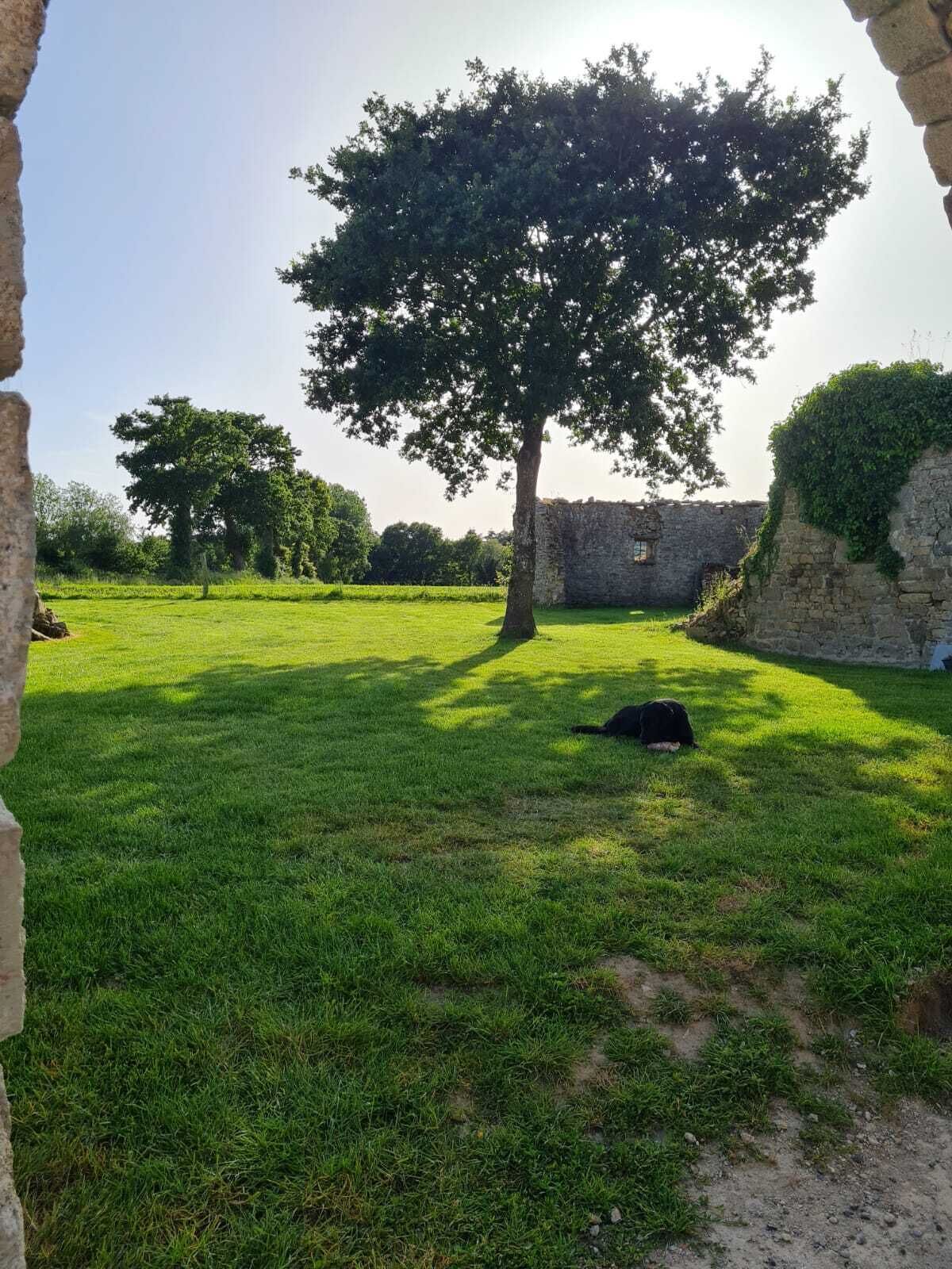 Área da propriedade