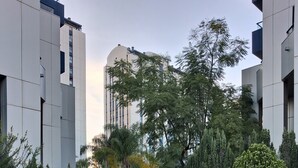 Un vialetto lastricato affiancato da edifici moderni e aree verdi con alberi e arbusti.