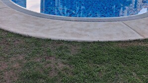 Una piscina con bordo piastrellato, circondata da palme e edifici moderni.