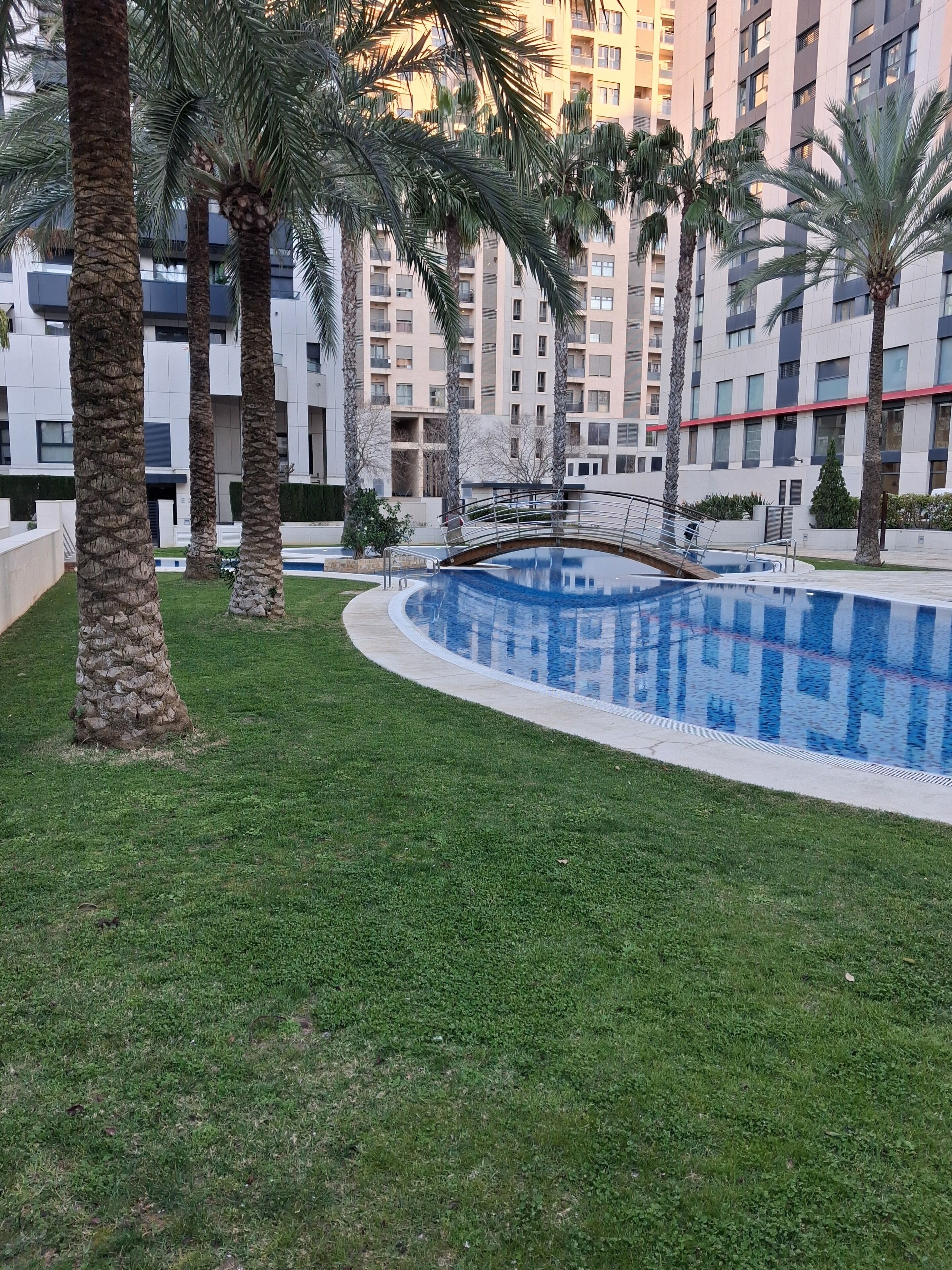 Una piscina con un puente, rodeada de palmeras y modernos edificios de apartamentos.
