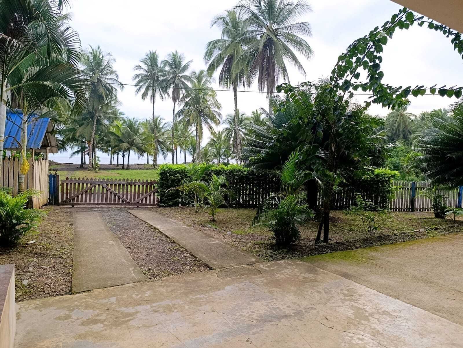A paved pathway leading to a gated entrance with palm trees and a fence in the background.