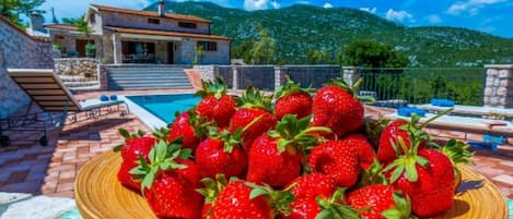 別墅 (Rustic Haven Villa with swimming pool) | 外觀