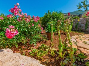 Un jardín con diversas plantas y flores, un sendero de piedra y un muro de piedra.