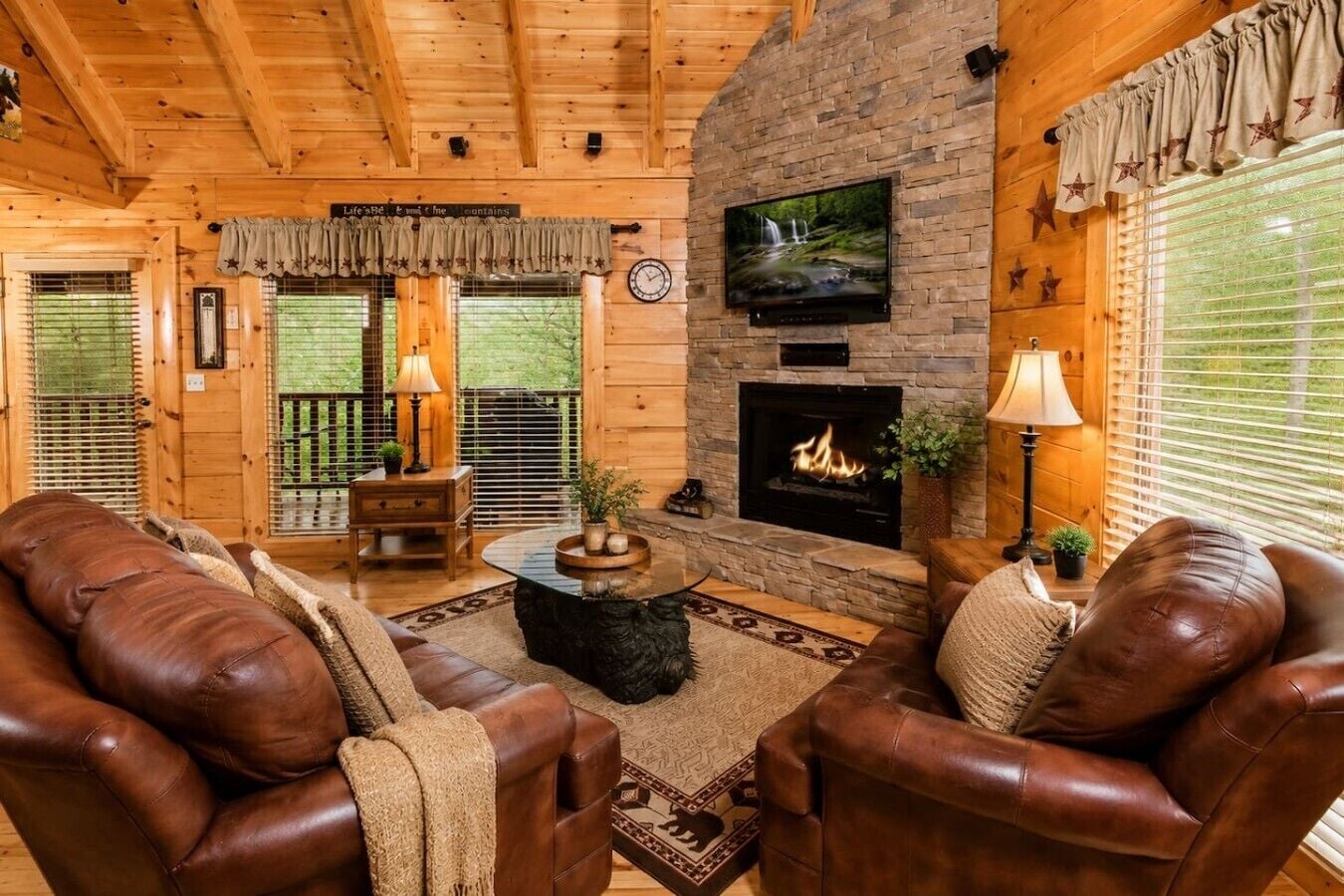 TV, fireplace