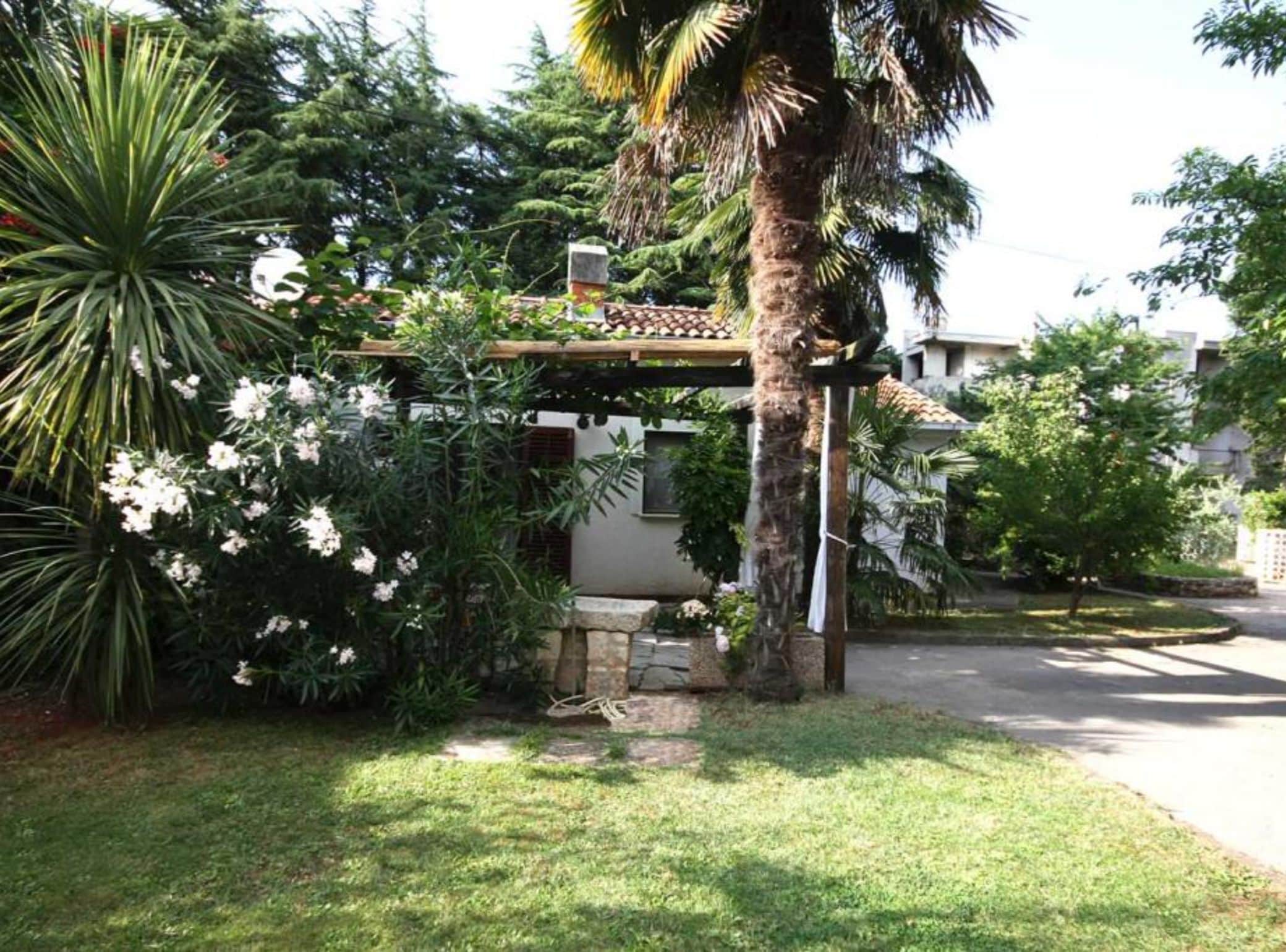 Ein Garten mit einer Pergola, Palmen und blühenden Pflanzen.