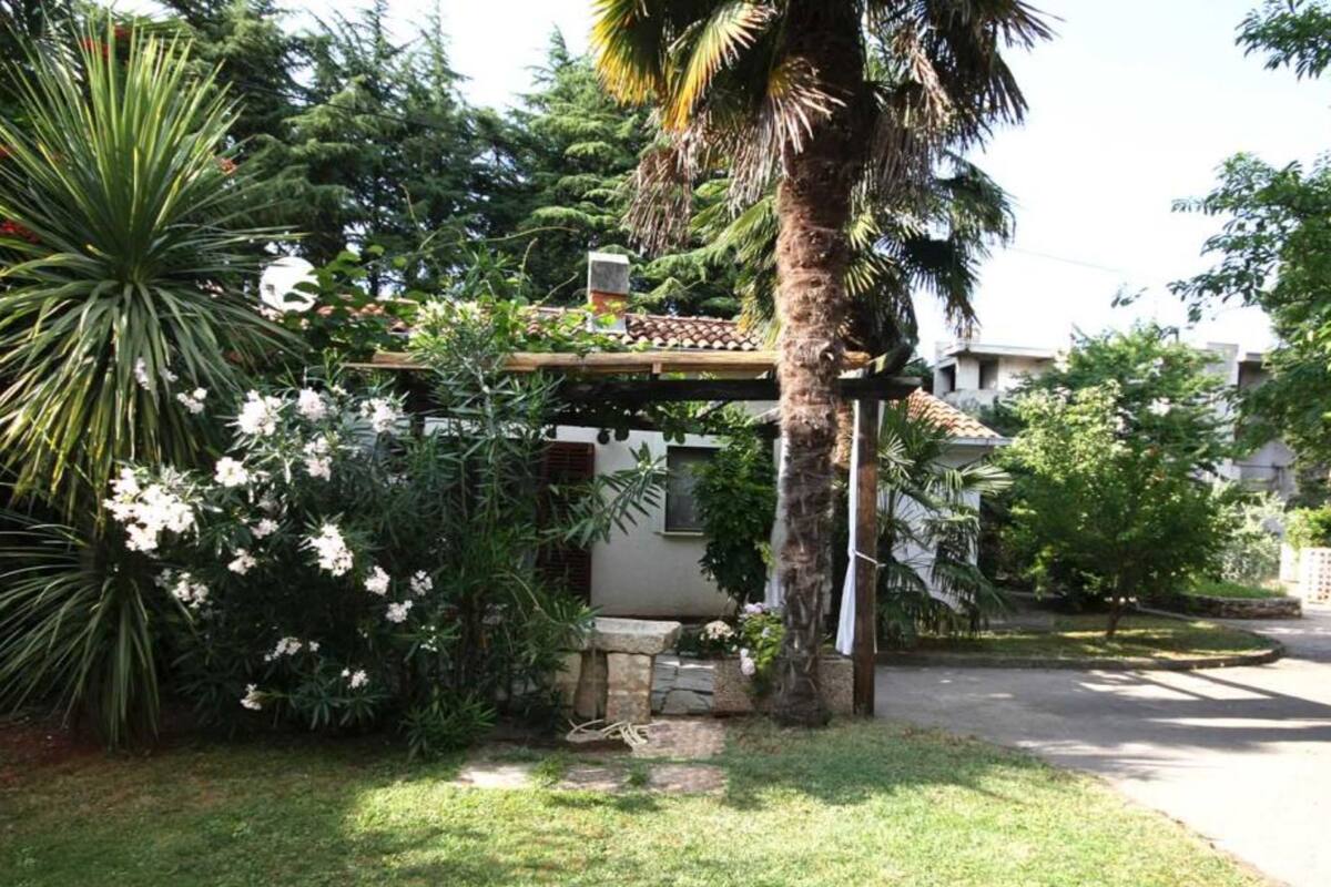 Un jardin agrémenté d’une pergola, de palmiers et de plantes à fleurs.