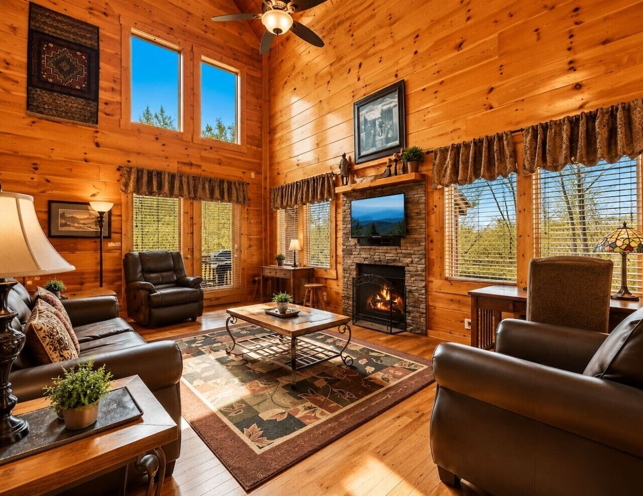 TV, fireplace