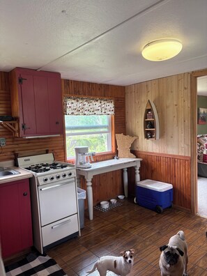 A kitchen with wooden walls, a stove, a refrigerator, a window with a view, and a dog. - Riverfront Cabin Retreat (Ojibwa)