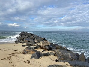 Beach - Quiet, Charming LA Back house — Minutes from SOFI, the Forum & the Beach (Los Angeles)