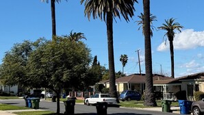 A residential street with palm trees, houses, and parked cars. - Quiet, Charming LA Back house — Minutes from SOFI, the Forum & the Beach (Los Angeles)