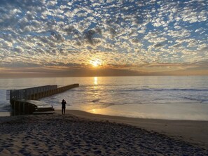 Beach - Quiet, Charming LA Back house — Minutes from SOFI, the Forum & the Beach (Los Angeles)