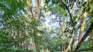 A stone pathway leading through a forested area with trees and greenery. - Ipê Eco Village - Apartments with Kitchen, 5 min. from Beto Carrero World (Penha)