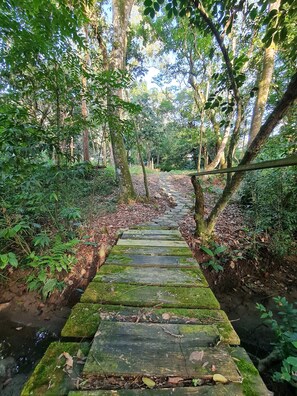 A stone pathway leading through a forested area with trees and greenery. - Ipê Eco Village - Apartments with Kitchen, 5 min. from Beto Carrero World (Penha)