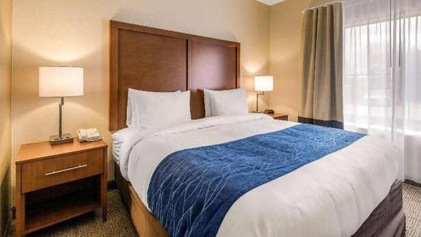 A hotel room with a large bed, two bedside tables with lamps, a wooden headboard, and a window with curtains. - Comfort Suites Humble Bush Intercontinental Airport (Humble)