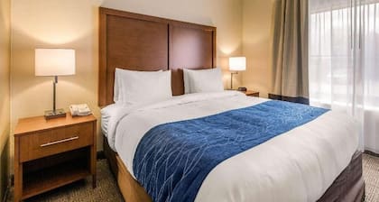 Comfort Suites