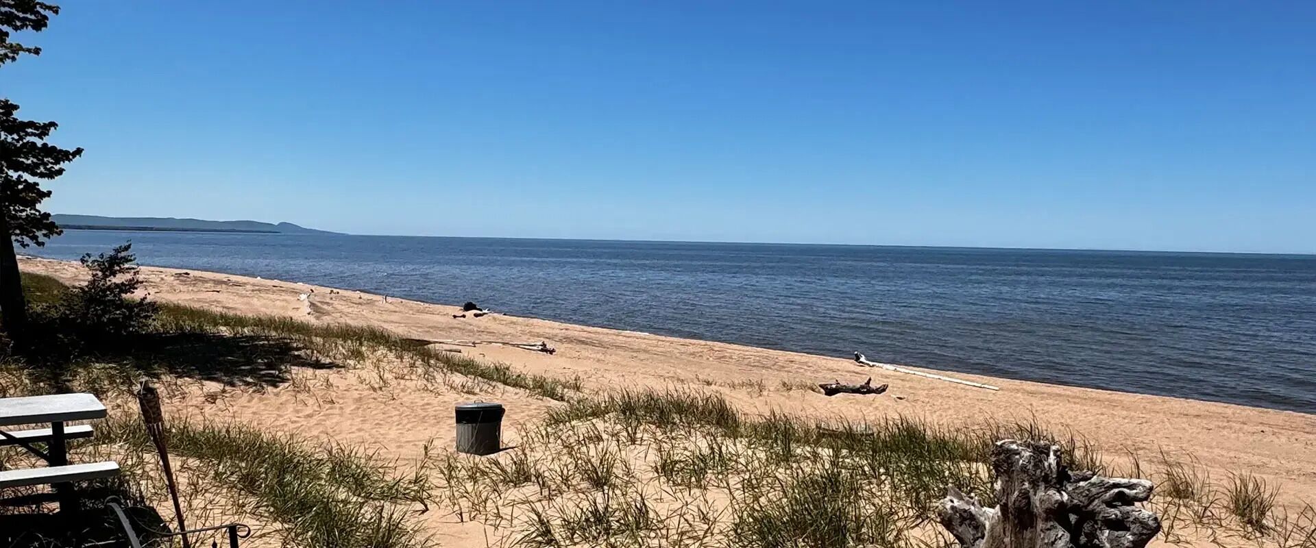 Une plage avec une table de pique-nique, une poubelle et une végétation clairsemée.