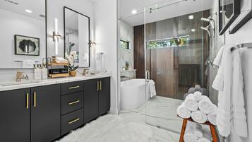 Shower, hair dryer, bidet, towels