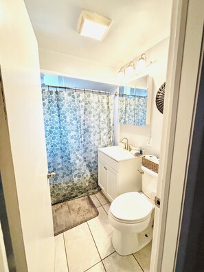 A bathroom with a shower curtain, a toilet, a sink, and a mirror. - Cozy, Comfortable, Pet Friendly Home with a fenced in private yard  (Wilmington)