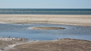 Una spiaggia con un litorale sabbioso e acque calme.