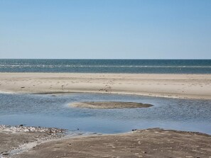Ein Strand mit sandigem Ufer und ruhigem Wasser.