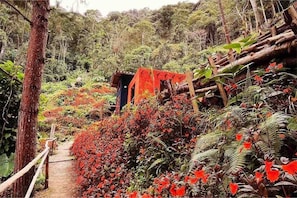 Zona boscosa con un sendero de madera que lleva a una pequeña construcción.