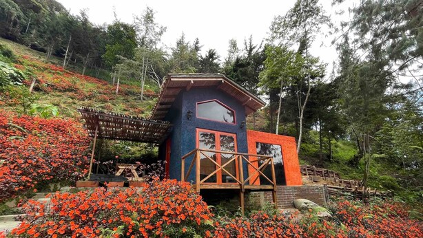 A small, rustic cabin with a wooden deck and a large window, surrounded by vibrant red flowers and dense greenery.