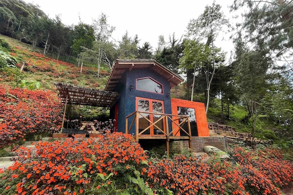 A small, rustic cabin with a wooden deck and a large window, surrounded by vibrant red flowers and dense greenery.