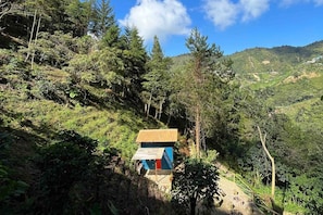 Cabin, 2 Bedrooms, Smoking, Balcony | Miscellaneous