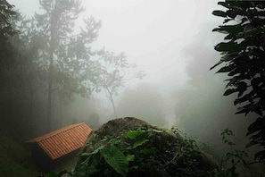 Cabin, 2 Bedrooms, Smoking, Balcony | Miscellaneous
