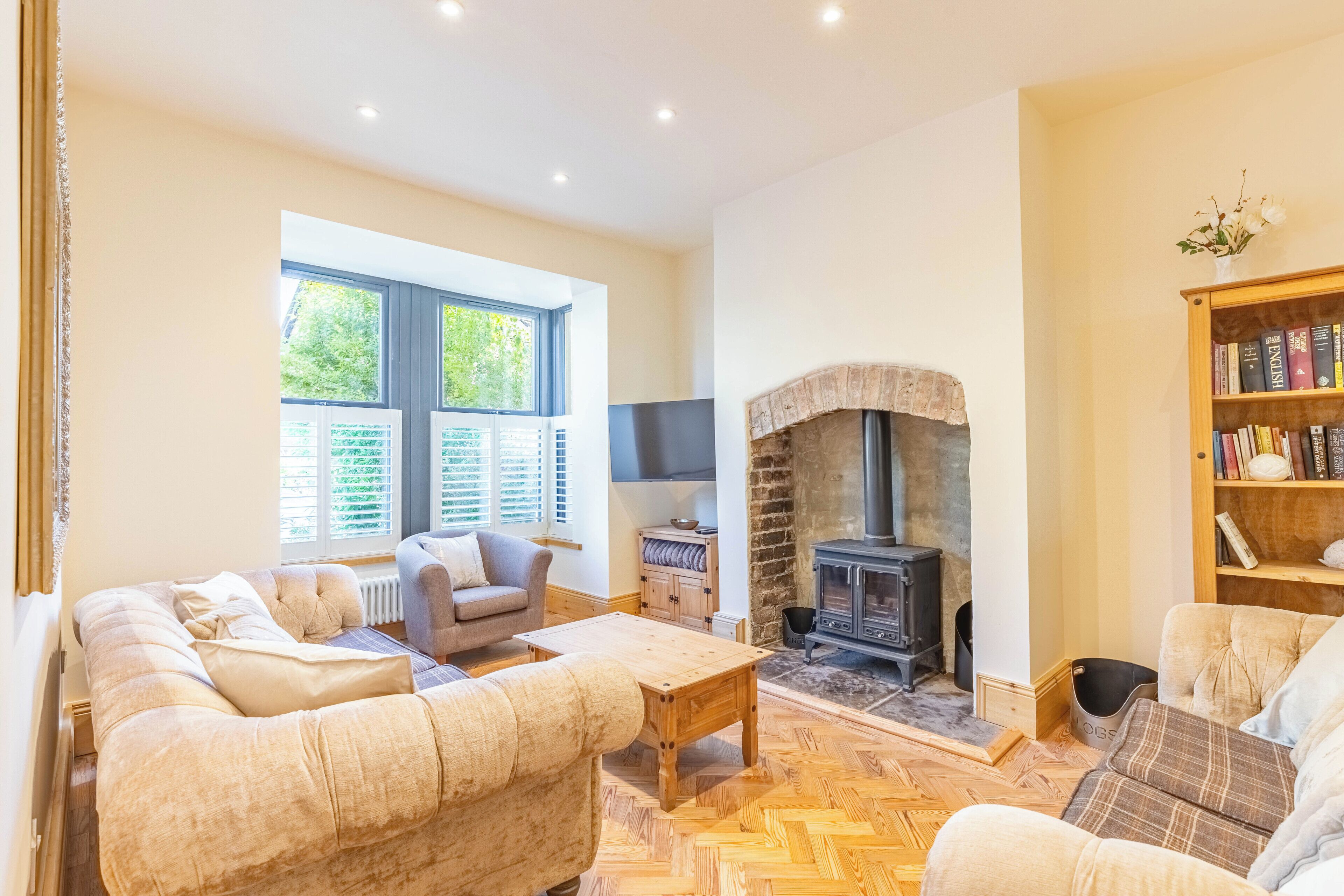 Smart TV, fireplace, books