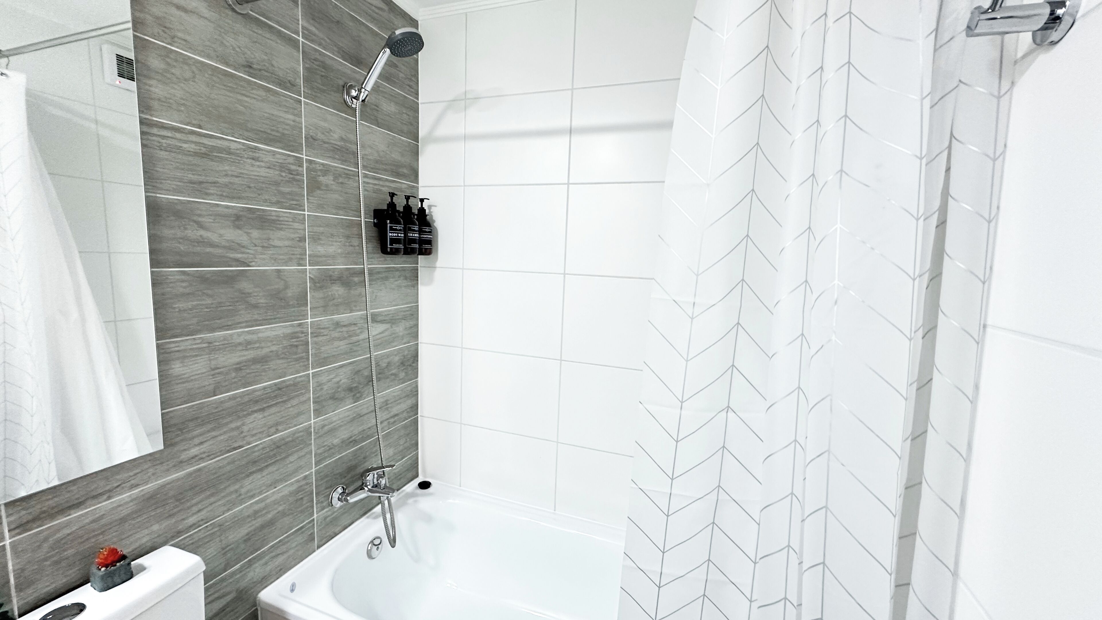 Standard Apartment, 1 King Bed with Sofa bed, Balcony | Bathroom
