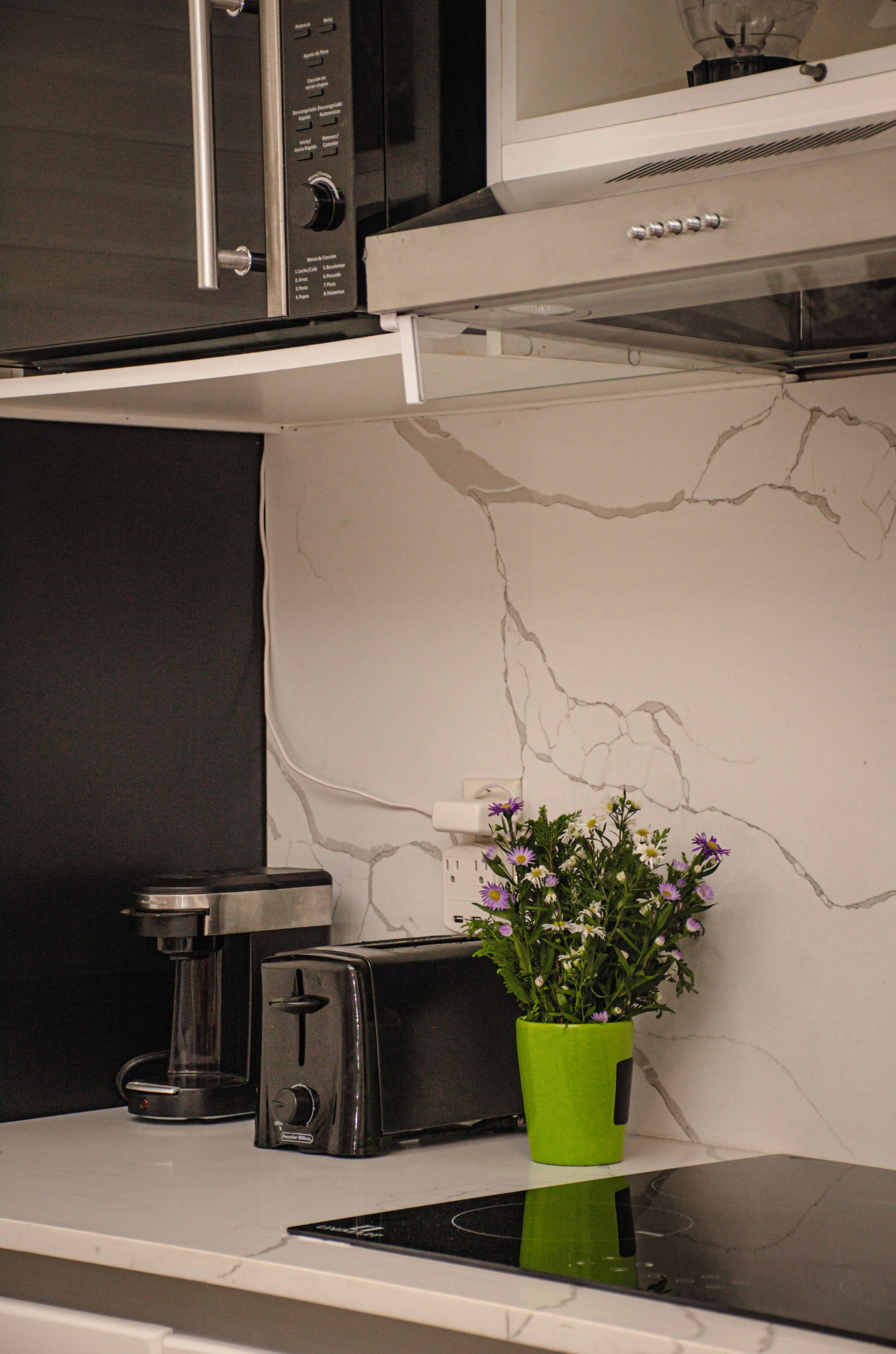 A kitchen with a microwave, toaster, and a green pot with flowers on the counter.