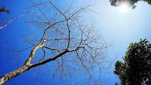 룸, 침실 1개, 흡연, 온수 욕조 | 외관