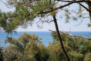 A coastal landscape with dense pine trees and a view of the sea. - Maison Terre Océan (Angles)