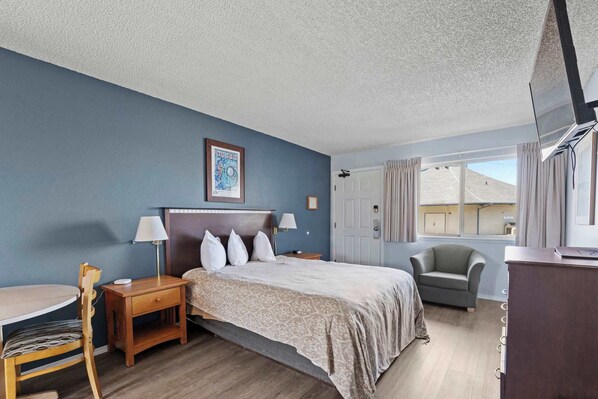 A bedroom with a bed, bedside tables, a chair, a desk, a TV, and a window with curtains. - Ground Floor Studio - Kitchenette - Pet-Friendly! (Ocean Shores)