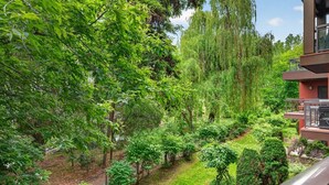 Un jardín exuberante con diversos árboles y arbustos, un sendero despejado y un edificio moderno con balcón.