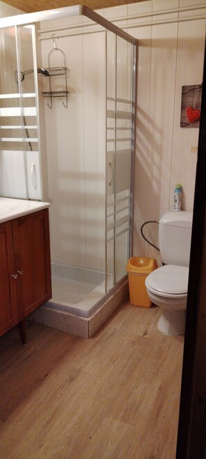 Une salle de bain avec douche, toilettes et meuble en bois.