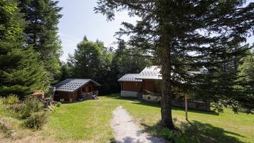 Una cabaña con un camino de grava que conduce a ella, rodeada de un bosque denso.