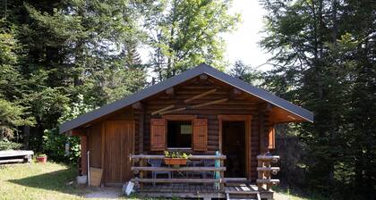 Chambre d’hôtes « Petit Chalet » avec terrasse privée, balcon et Wi-Fi