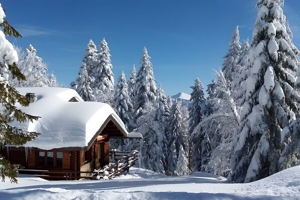 Una cabaña de madera con techo nevado, rodeada de árboles cubiertos de nieve y un cielo azul despejado.