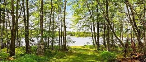 A forest path leading to a body of water with trees and greenery.