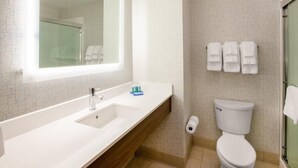 A modern bathroom with a large mirror, a sink, a toilet, and a glass shower enclosure. - Cozy 1-bedroom, 2 queen bed, hotel suite with AC in soothing Downtown Ashville (Ashville)