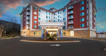 Cozy 1-bedroom, 2 queen bed, hotel suite with AC in soothing Downtown Ashville